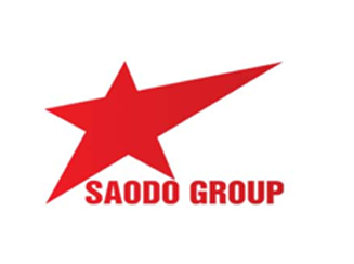 CÔNG TY CỔ PHẦN TẬP ĐOÀN ĐẦU TƯ SAO ĐỎ